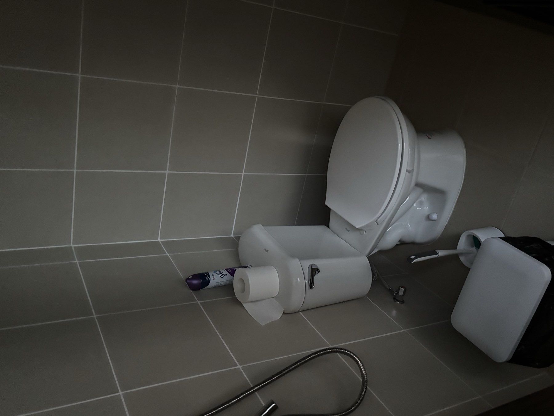Third bathroom, compact, with a hand shower and toilet